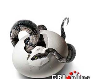 用蛋殼創(chuàng)意出經(jīng)典家居飾品