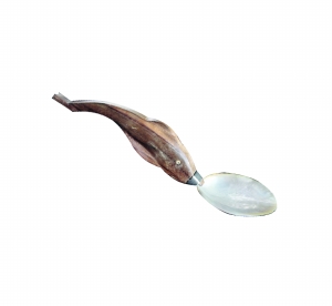 另類飾品貝殼帶來海風(fēng)味道