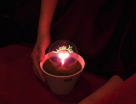 可以點(diǎn)亮的盆栽花火小夜燈