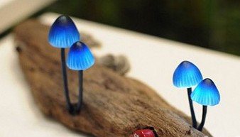 (chung)LED(sh)ϵСĢ