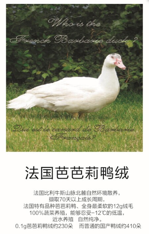 Ʒ|(zh)58(mng)Ҽcȫ(i)һͬ(mng)
