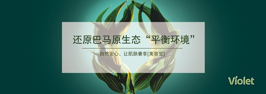 _mҼDf@I(lng)ӢFķAʢ