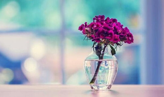 紫羅蘭家紡：當(dāng)花卉遇上天絲，瞬間被它的柔滑融化