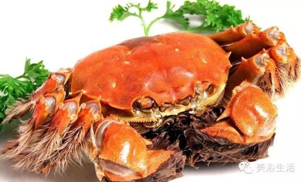 ԡÂĴlззSʳзȯзë